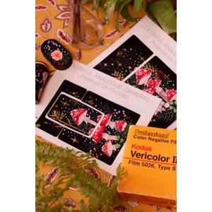 Polaroid SX-70 replacement leather skin for instant camera