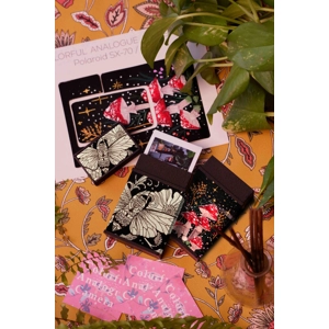 Instax Mini photo case