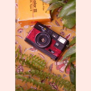 Hannimex 35 MS custom film camera