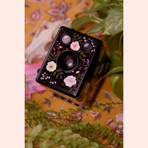 Kodak Brownie Sx-20 C custom painted medium format film ca..