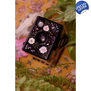 Kodak Brownie Six-20 C custom painted 620 film camera