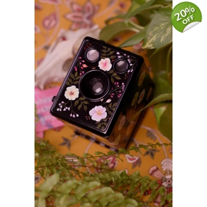 Kodak Brownie Six-20 C custom painted 620 film camera