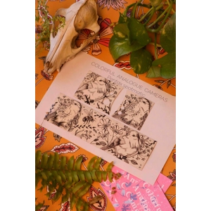 pentax spotmatic replacement leather