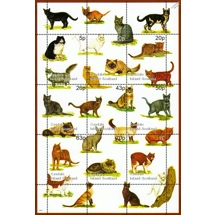 Easdale Island Cats (19..