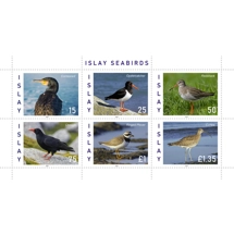 Islay Seabirds Minishee..