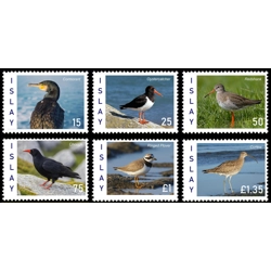 Islay Seabirds Set (2025)