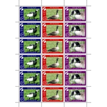 Islay Geese Sheet (2019)