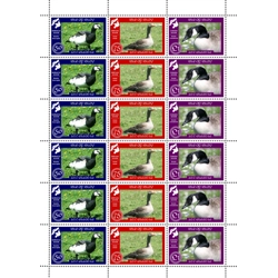 Islay Geese Sheet (2019)