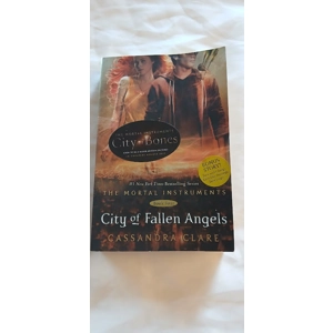 City of Fallen Angels (Mortal Instruments, Book 4)