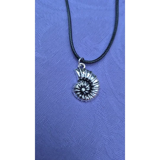 Ammonite necklace on a 45cm black cord necklace with lobster clasp
