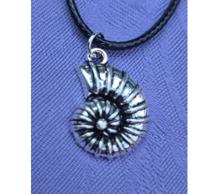 Ammonite necklace on a 45cm black cord necklace with lobster clasp