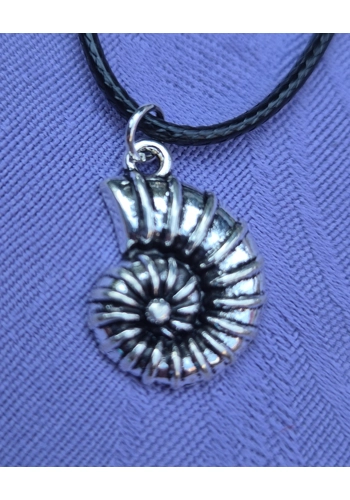 Ammonite necklace on a ..