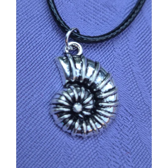 Ammonite necklace on a 45cm black cord necklace with lobster clasp