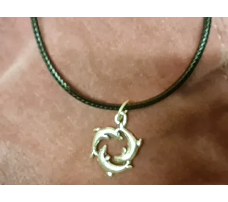 Dolphin necklace and earring set