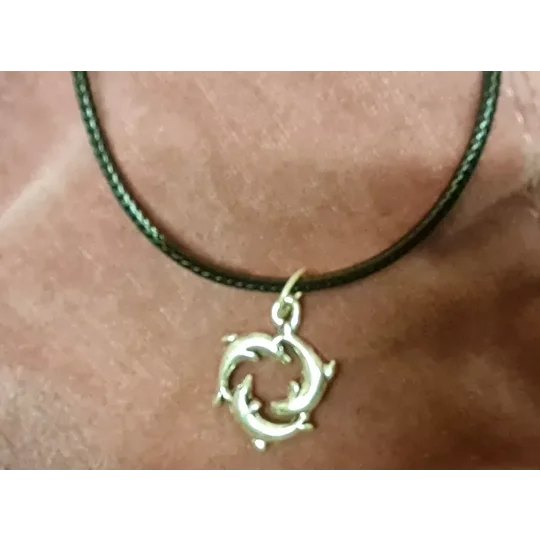 Dolphin necklace and earring set