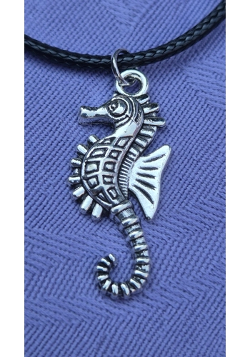 Seahorse necklace on a ..