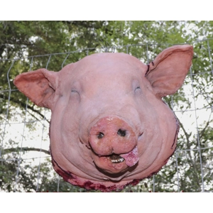 Pig head full size latex prop Pig head full size latex prop