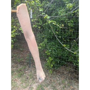 Female full arms single or pair
