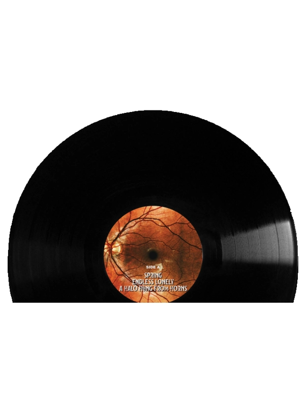 12" Vinyl - Double LPs