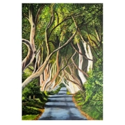 Dark Hedges