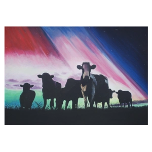 Mystic Moos .Cows under the Nortern Lights