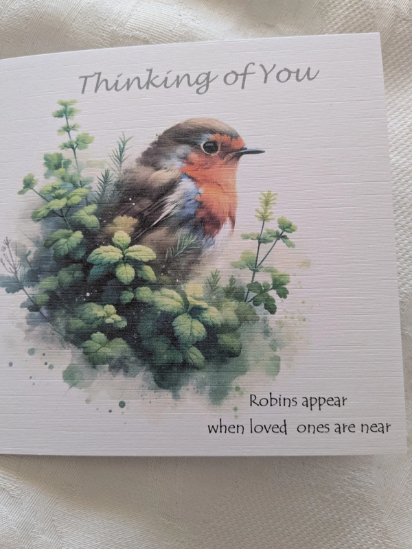 Robin Sympathy/ Thinking of you