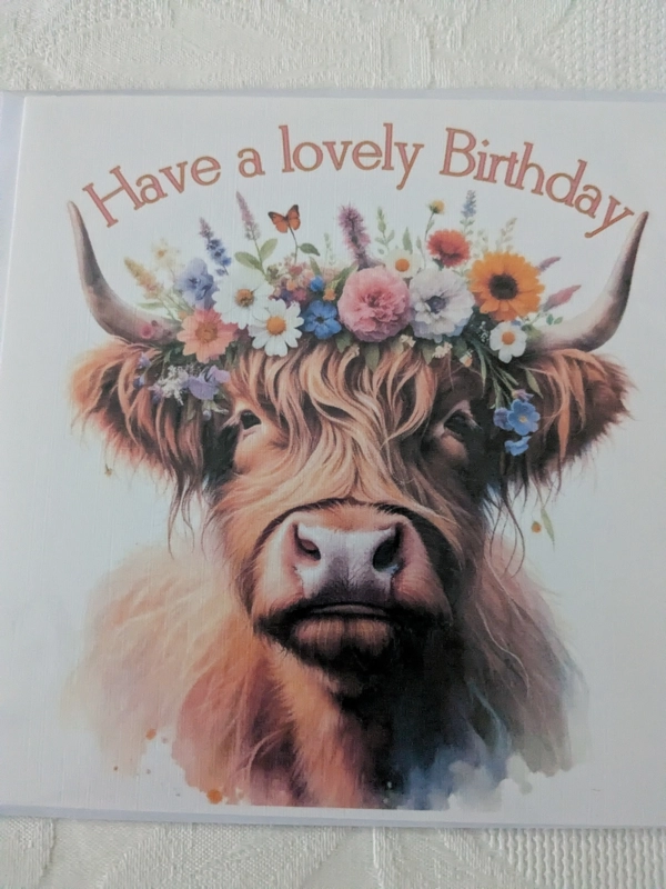 Cows