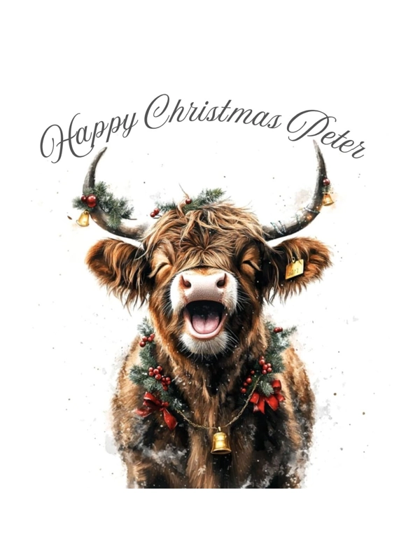 Laughing Highland Cow