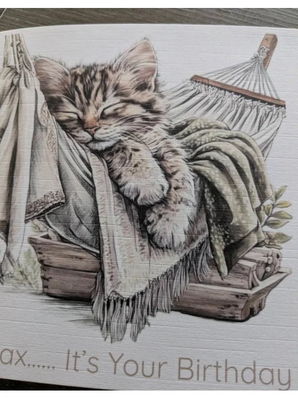 Kittens in a Hammock