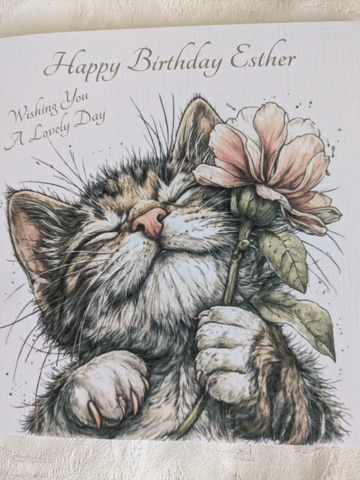 Tabby Cat and Flower