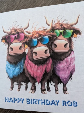 Bulls in Boots