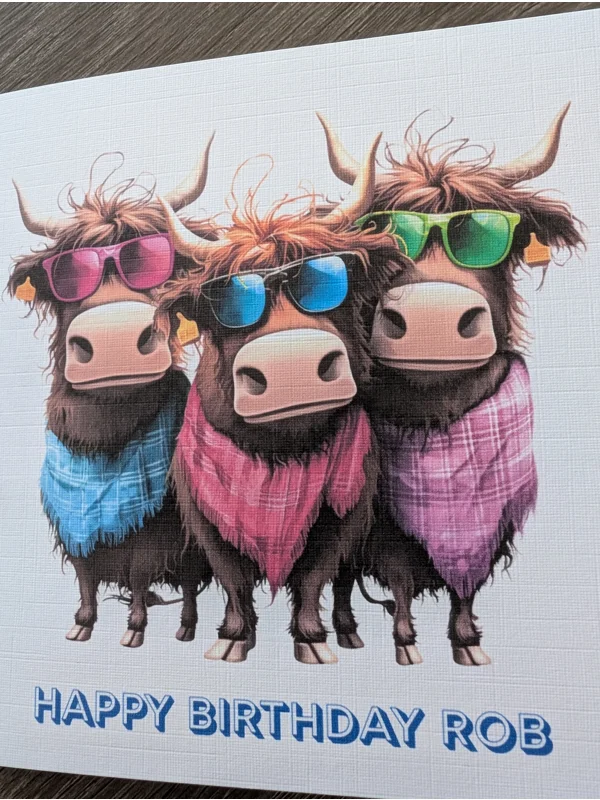 Bulls in Boots