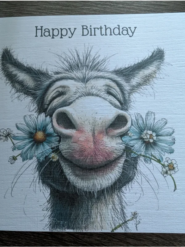 Funny Donkey