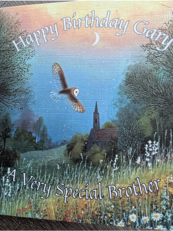 British Wildlife Owl in Flight