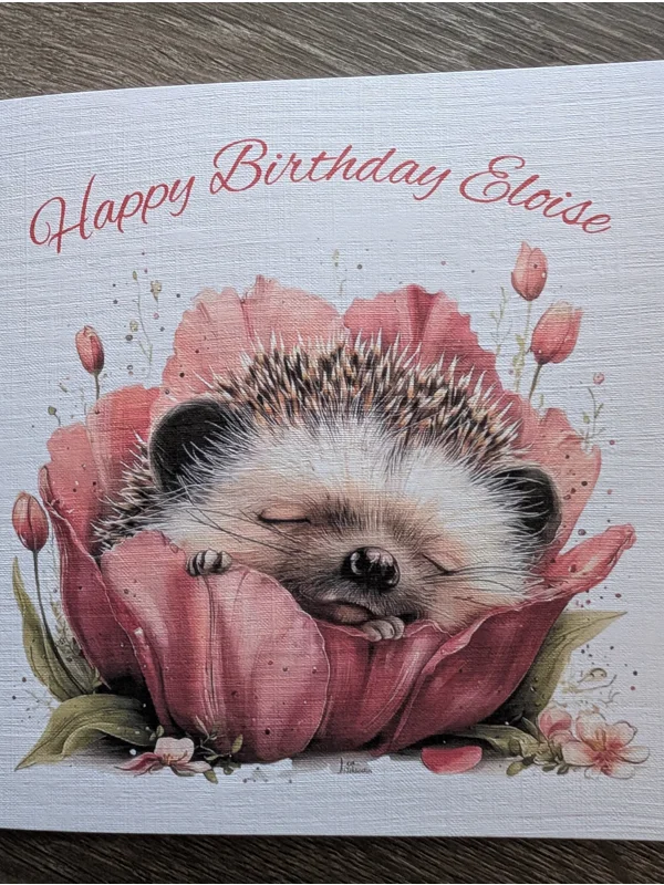 Sleeping Baby Hedgehog