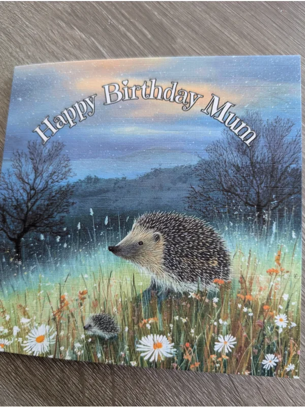 British Wildlife Countryside Hedgehogs