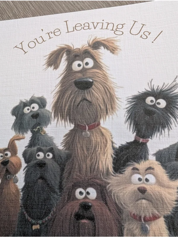 Quirky Dogs