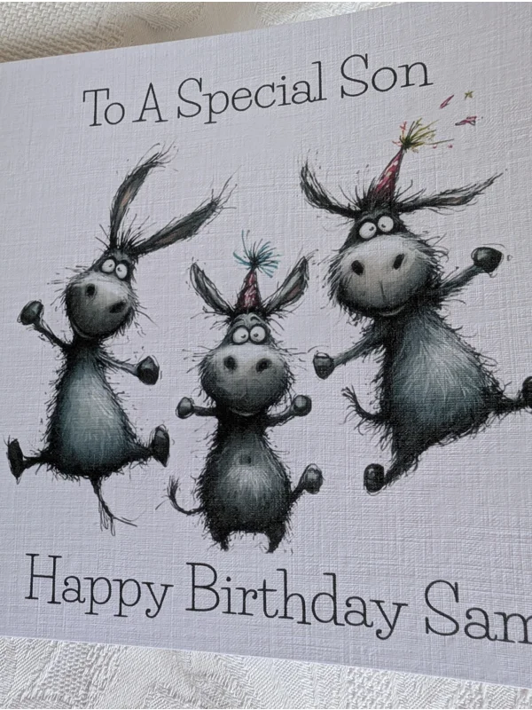 Silly Donkeys