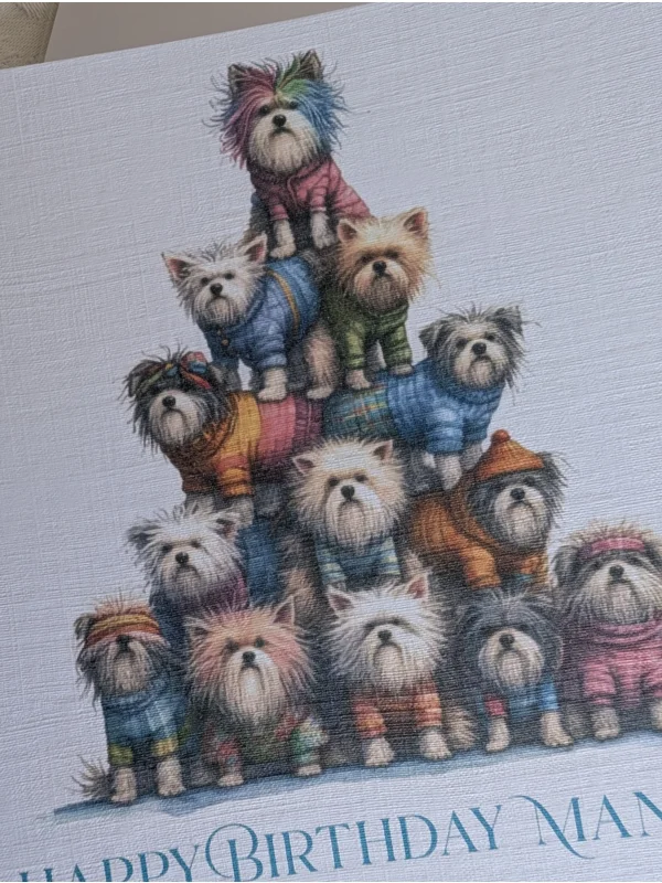 Crazy Dog Pyramid