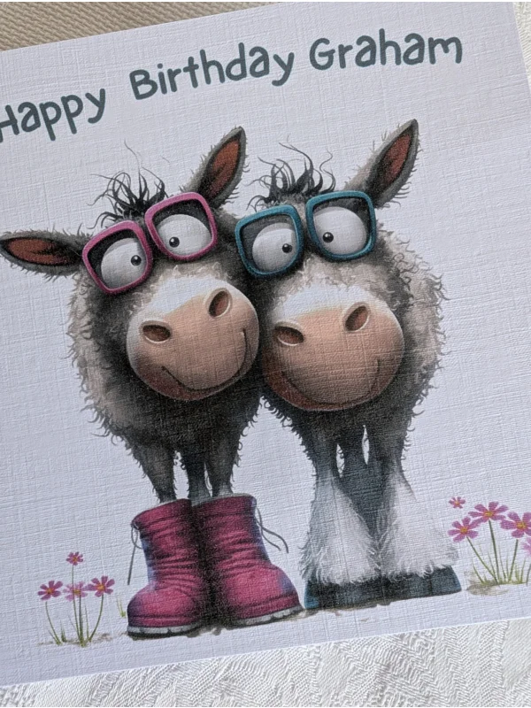 Donkeys in Boots