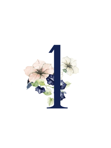 Navy & Blush Numbers