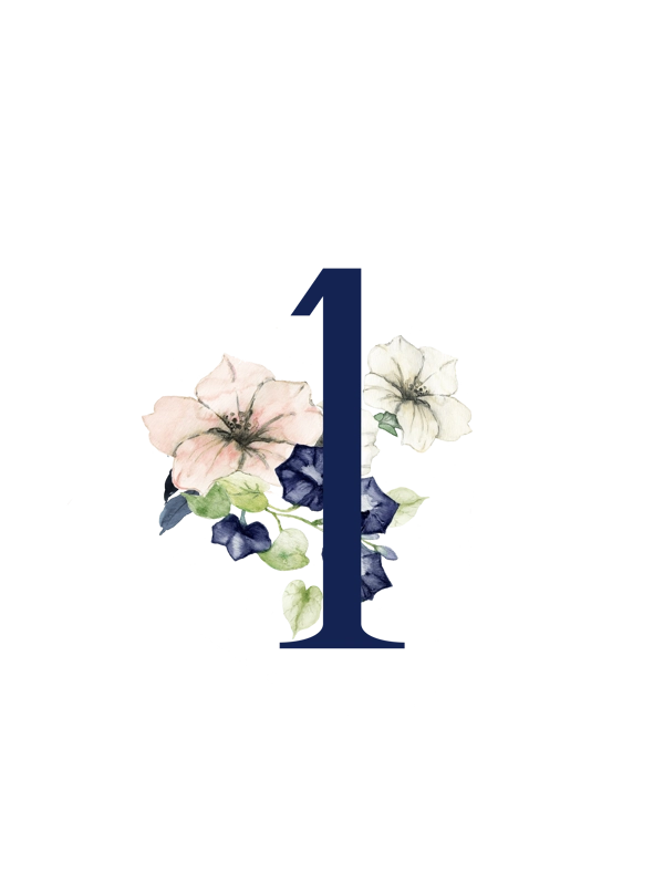 Navy & Blush Numbers