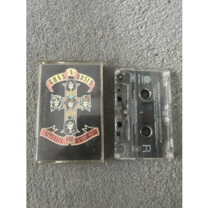 Appetite for Destruction