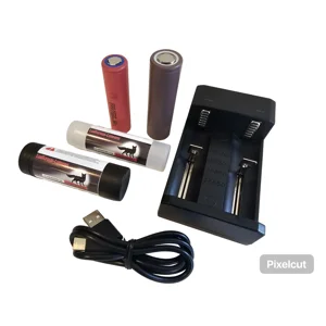 USB Charger with choice of batteries