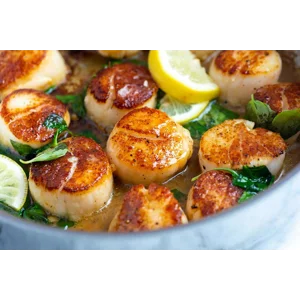 Scallops – Premium Seafood for Gourmet Cooking & Fine Dining