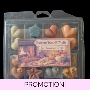 Autumn Scent Wax Melts