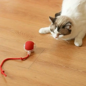 Cat Teaser Interactive Ball Toys - Automatic Rolling Ball Faux Tail USB Rechargeable Smart Pet Toy Cat Teaser Interactive Ball Toys - Automatic Rolling Ball Faux Tail USB Rechargeable Smart Pet Toy
