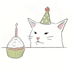 Funny Argue Cat Meme Birthday Cupcake Greetings Card A6 Funny Argue Cat Meme Birthday Cupcake Greetings Card A6