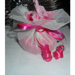 Wedding Favour with Net & Ribbon