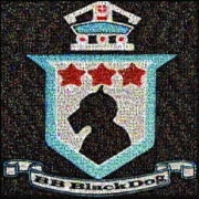 BB Blackdog NO3 POSTER